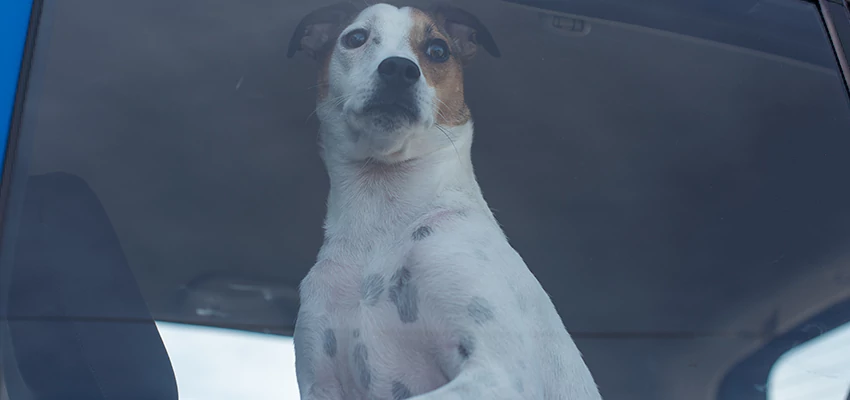 Car Lockout Solutions in Suisun City, California