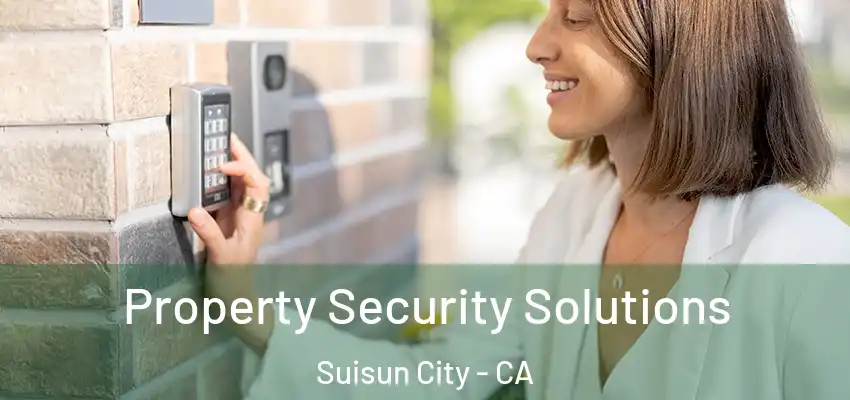 Property Security Solutions Suisun City - CA
